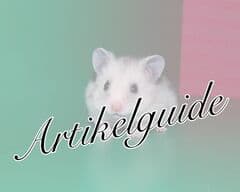 Artikelguide