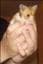 Hampus07