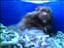 Andreas_76
