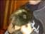 Tim_Colio