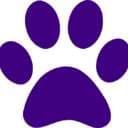 Lovely_paws