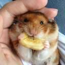 Bananchips