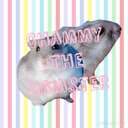 ChammyTheHamster